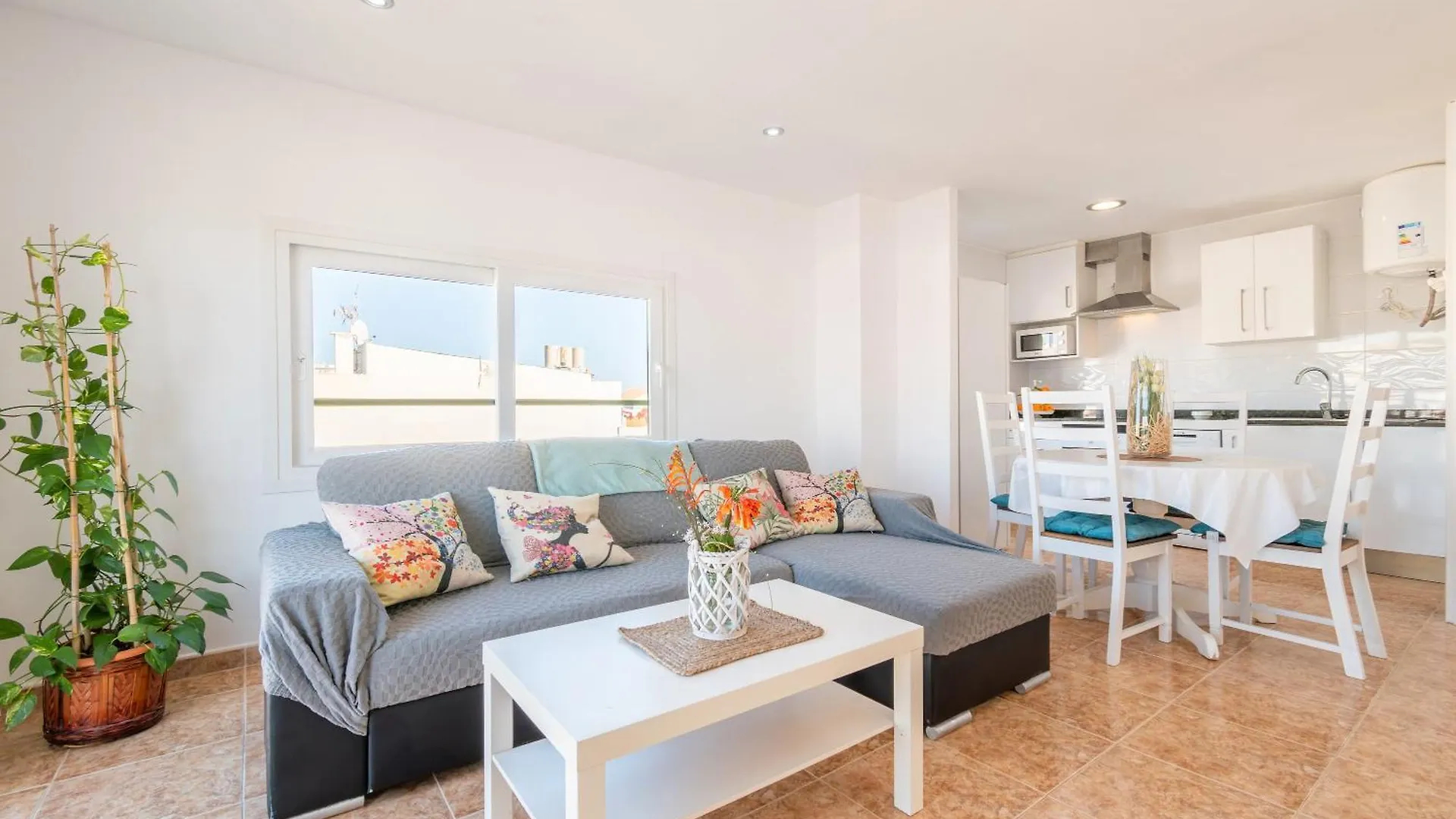 Wonderful Apartment Can Picafort   Can Picafort (Mallorca)